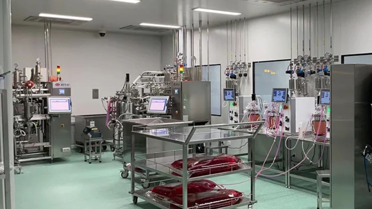 Understanding Bioreactor Systems: Batch vs. Continuous