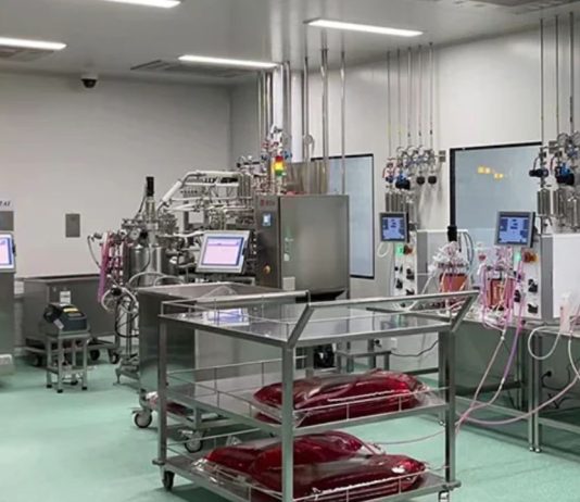 Understanding Bioreactor Systems: Batch vs. Continuous