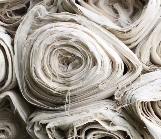 Differentiating the Gap: What Is the Difference between Cotton and Modal Fabric?